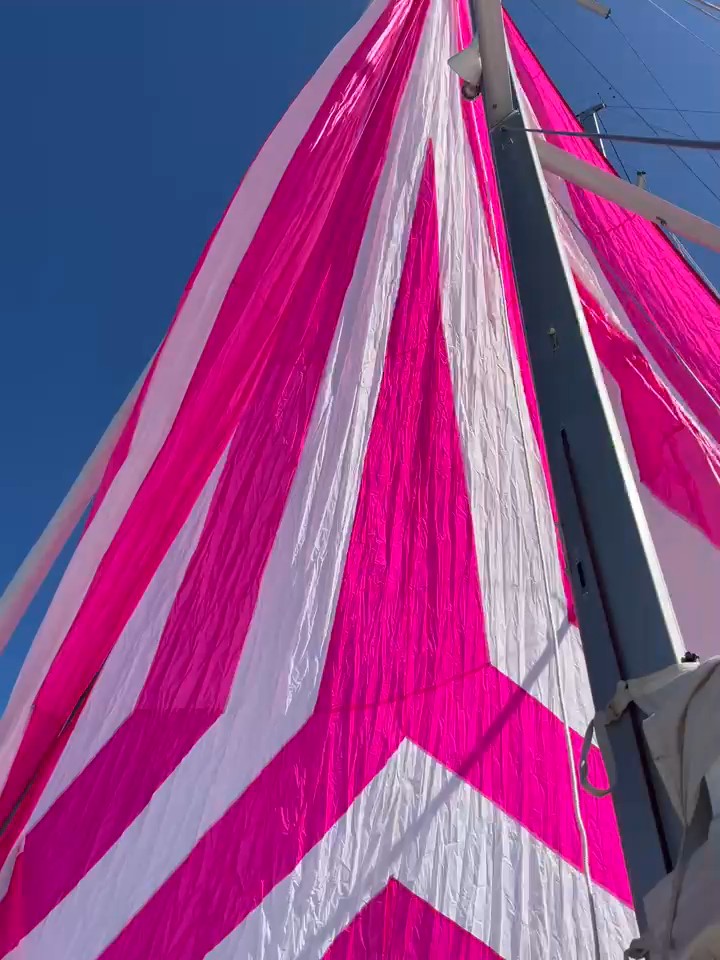 The Pink Sail - All Winds Adventures
