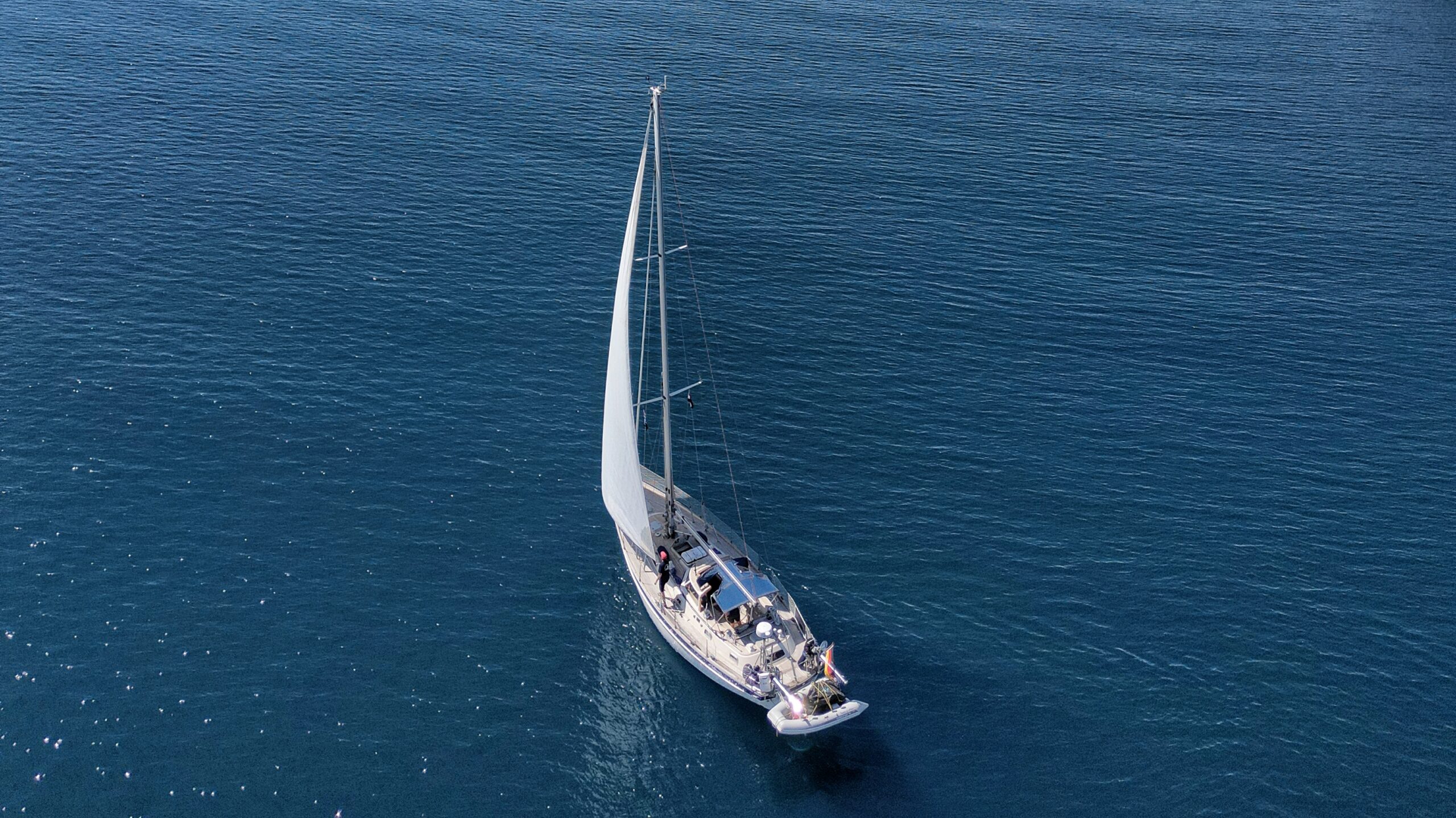 Albatros leaving Rogoznica